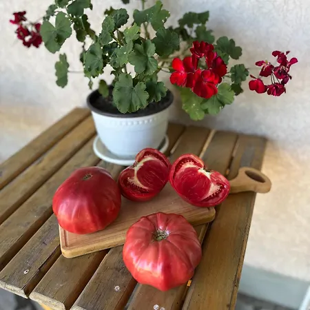 Apartman Travel Rest Bujanovac